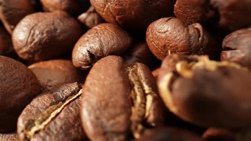 Beautiful coffee beans. Close-up macro video. 4K