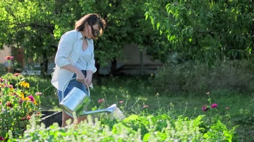 Woman Watering a Garden Bed with Watering Can