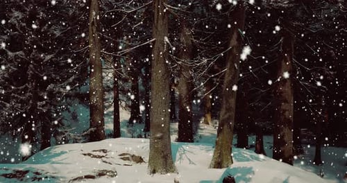 Snowfall Gently Blankets a Serene Forest in Winter Wonderland Setting