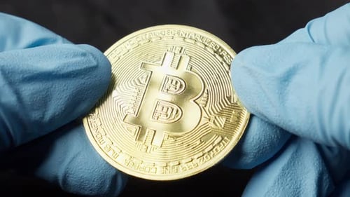 Gloved Hands Holding Gold Bitcoin Currency