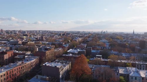 Aerial View Capturing New York City Borough in Brooklyn Autumn Foliage Draping Residential Streets