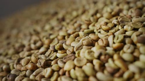 Natural Organic Green Coffee Beans