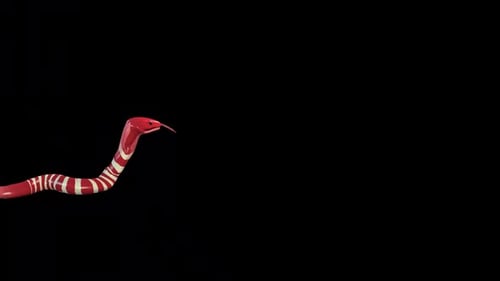 Toon Character Snake Run Idle