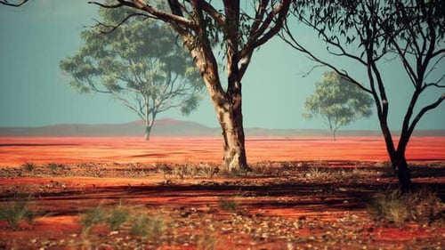 African Savanna Landscape with Acacia Trees