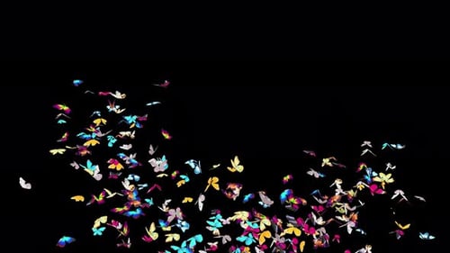 Colorful Flying Butterflies Swarm Animated Element