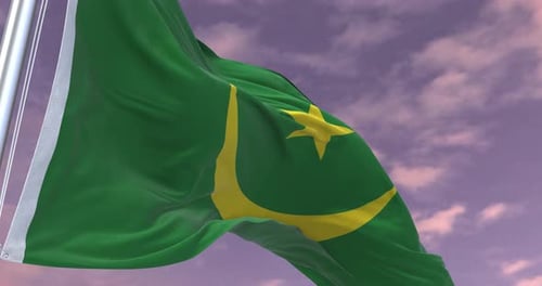 Waving National Flag of Mauritania Against a Sky