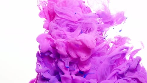 Pink and Blue Ink Flowing in Water