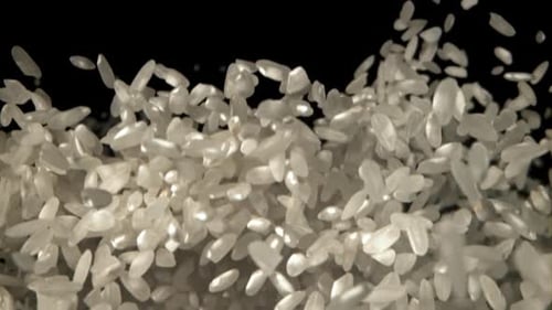 Rice Flies Up and Falls Down Filmed on a Highspeed Camera at 1000 Fps