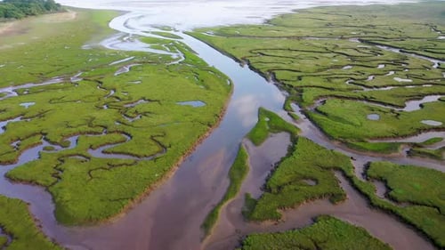 Aerial view of river tyne salt marsh and meandering patterns, United Kingdom.