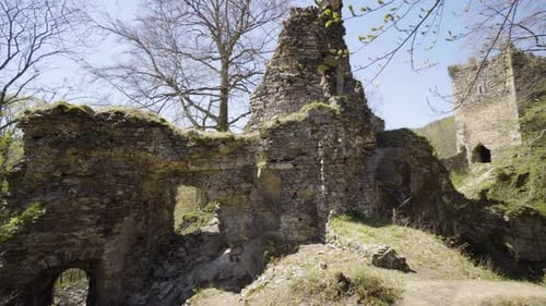 Ancient Ruins on a Hill in a Forested Landscape