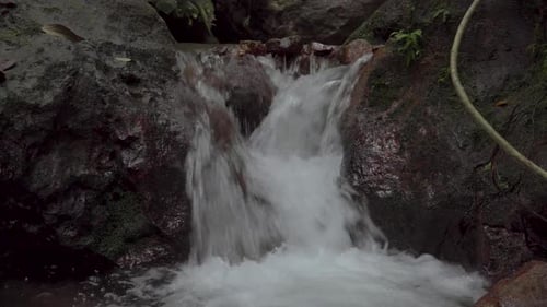 Stream running fast in tropical rainforest. Small waterfall with crystal clear water. Beautiful broo