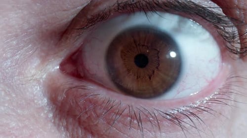 Extreme close-up of a brown human eye staring intensely