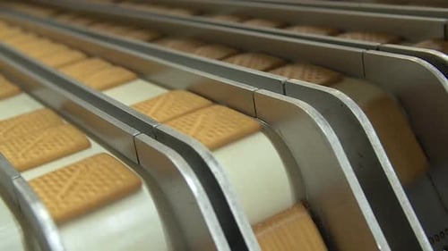 lots of square cookies are dropped from conveyor line