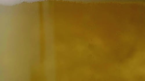 Close-Up of Bubbling Beer in a Glass