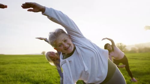 Active Seniors Doing Yoga in Green Meadow