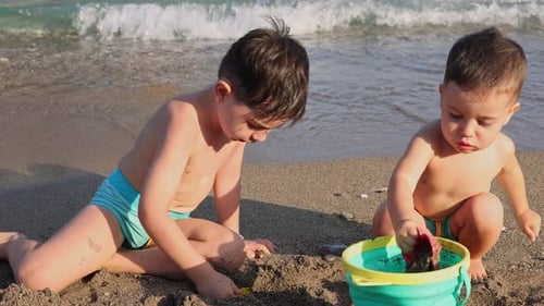 cute siblings, brothers are playing on sea beach.