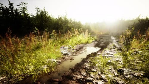 Ground Dirty Road Through Fields