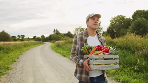 Fermier avec une boîte à légumes Homme marchant dans un champ de campagne Vie à la campagne Production alimentaire Agriculture