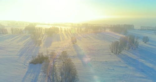 Aerial Drone View of Cold Winter Landscape with Arctic Field Trees Covered with Frost Snow and