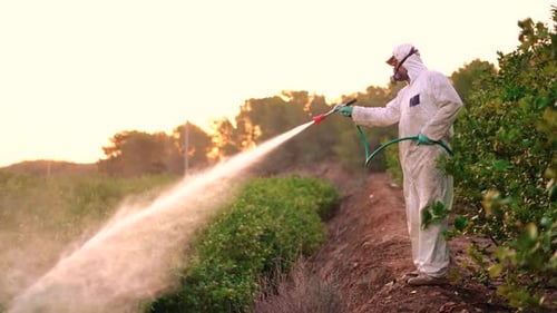 Farmer Sprays Crops in Protective Suit at Sunset