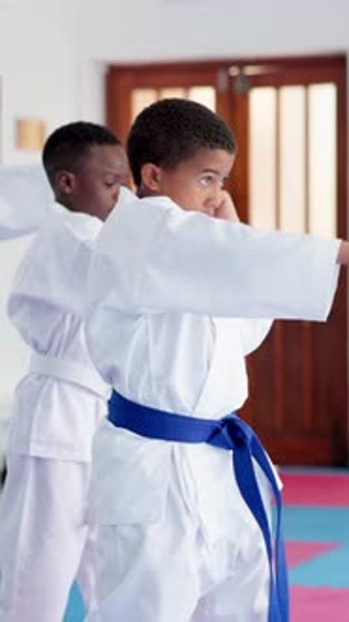 Young Martial Artists Training Together in Karate Class