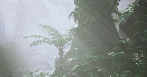 Mysterious Tropical Jungle with Fog and Sunbeams