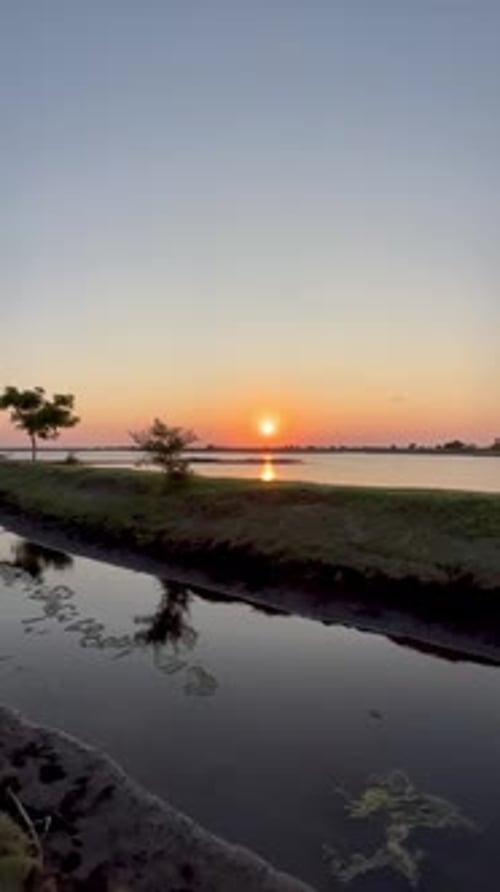 Sunset Glow Over Marsh with Silhouetted Trees