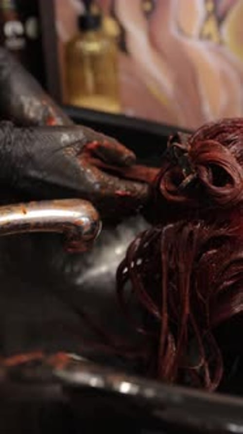 Woman Gets Her Hair Dyed at Salon