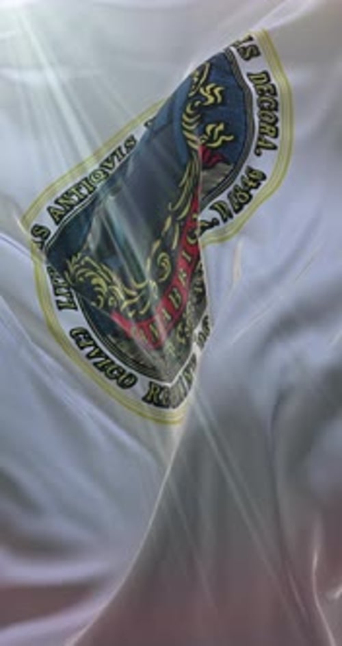Cambridge Flag