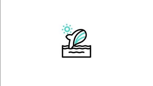 Whale Animated Icon
