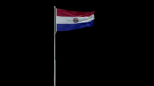 Waving Flag of Paraguay with Alpha Channel