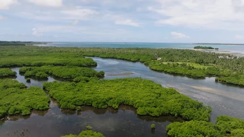 Mangrove Forest with Waterway and Coastline View Siargao Philippines