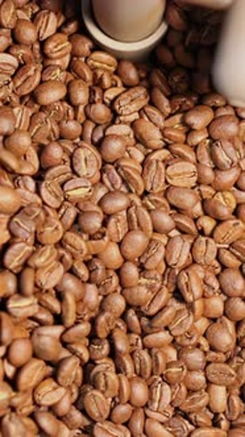 Coffee Beans Being Stirred By Machine