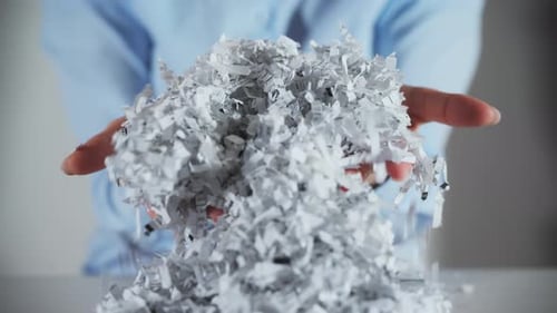 Shredded Paper Office Documents in Worker Woman Hands Close Up View