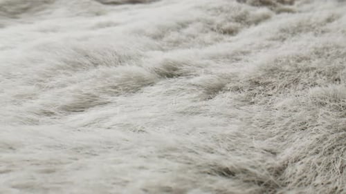 A CloseUp View of Elegant White Fur Texture in Fine Detail Capturing Its Beauty and Softness
