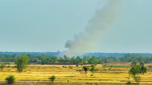 Rural Landscape with Rising Smoke on the Horizon