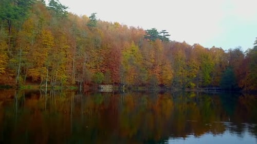 Autumn Forest Reflects in Calm Lake