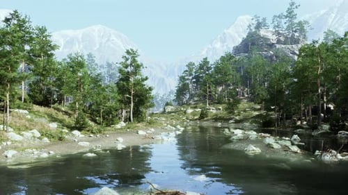 Ein ruhiger Fluss, der durch einen lebendigen grünen Wald fließt
