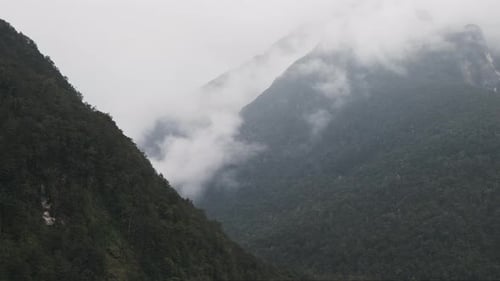 slow camera pan of a vast forest and mountain range, with a majestic mist-covered peak in the backgr