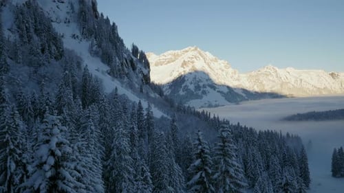 Snowy Mountains and Forest Aerial View in Winter