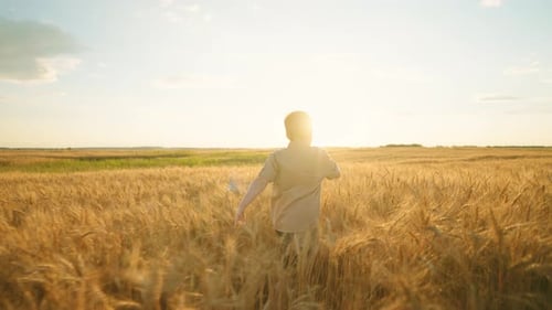 Cheerful Boy is Running Alone in Golden Wheat Field in Summer or Fall Day Childhood in Countryside
