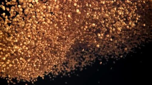 Falling, Flowing Pile of Golden Grains on Black Background