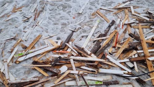 Garbage Washed Up on Sea Shore After Tropical Storm Deserted Shore with Garbage After Hurricane