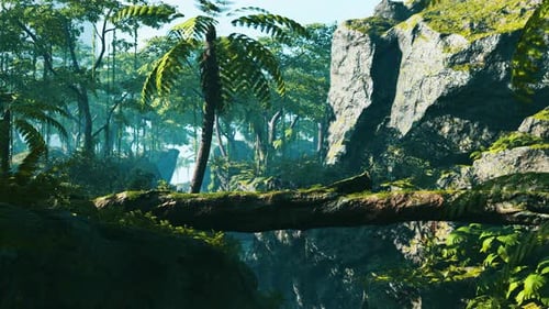 Way in Jungle of Malaysia