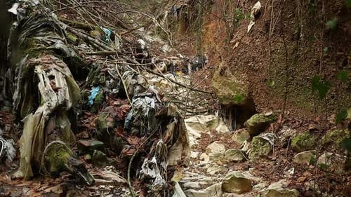 walking among the rubbish in the woods, environmental pollution concept