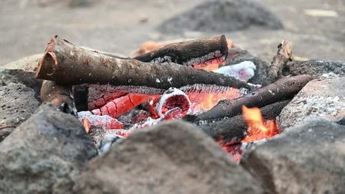 Open fire with firewood made outdoors