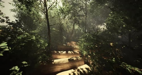 Lush Forest Trail Leading Into Dense Vegetation During Daytime
