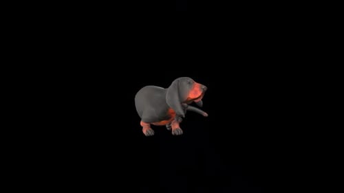 3D Animated Dog Rotating on Black Background