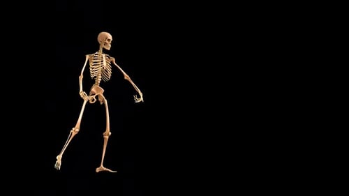 Skeleton Drunk Walk 2