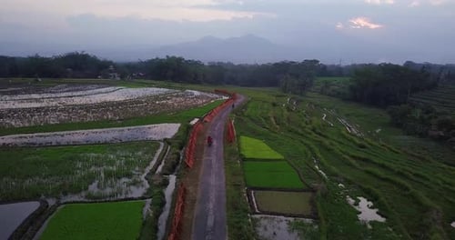 drone view following motorcycle on the road in the middle of ricefield in the afternoon. terraced ri